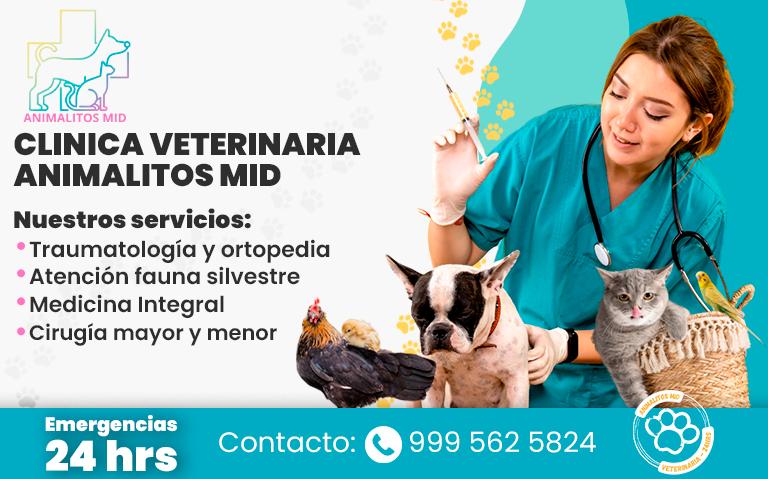 Clinica Vet- Animalitos Mid