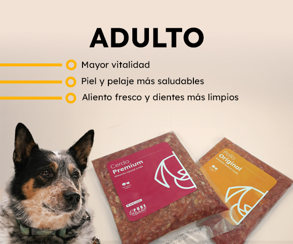 Slide2-responsive